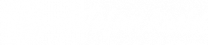DJ Stefan Logo